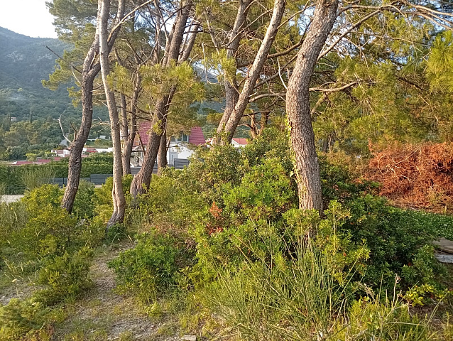 Urbanized Land Plot with Approved Project and Sea View in Mrčevac — photo 4
